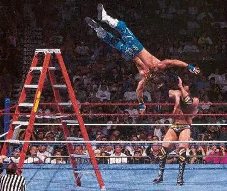 VoicesofWrestling.com - WWF SummerSlam 95