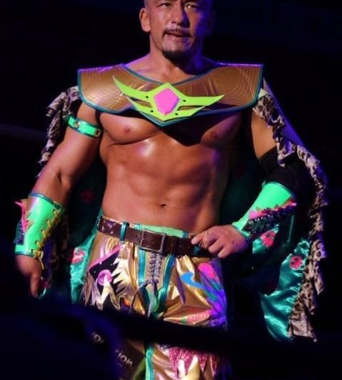 Dragon Gate – Fantastic Gate 2015 (December 3) Review