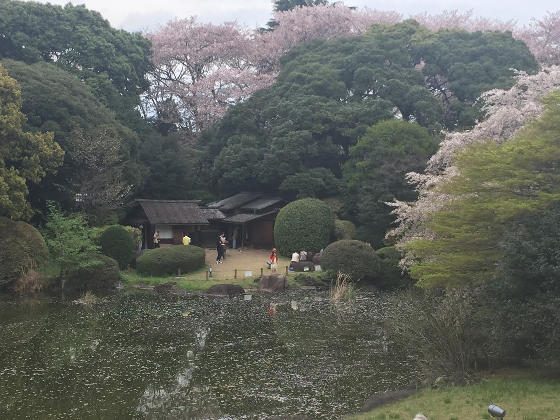 John Carroll's Japan Trip - VoicesofWrestling.com